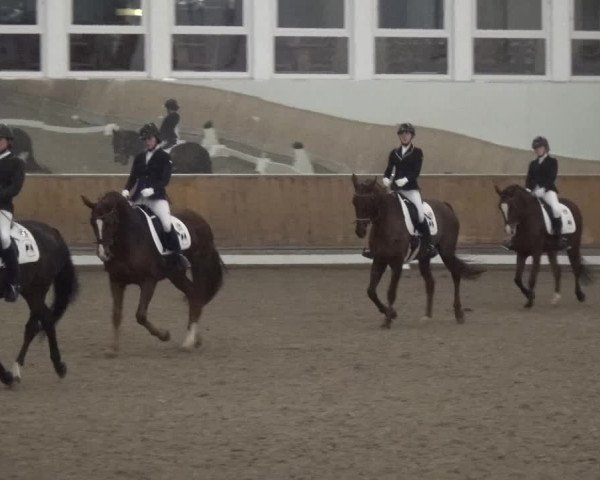 Reitturnier Freudenberg 2019