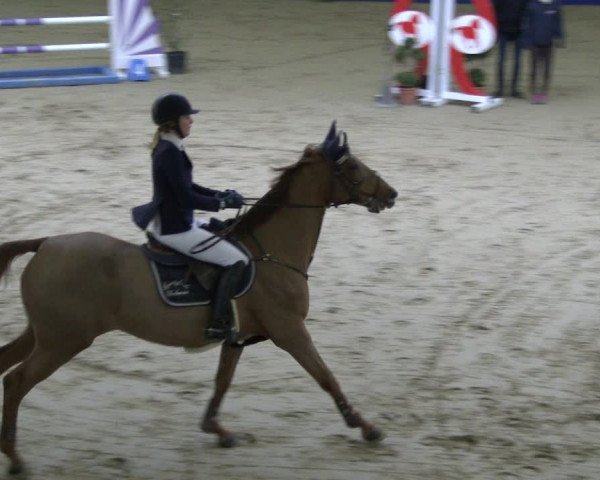 Reitturnier Isterberg 2019