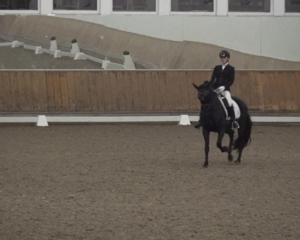 Reitturnier Freudenberg 2019