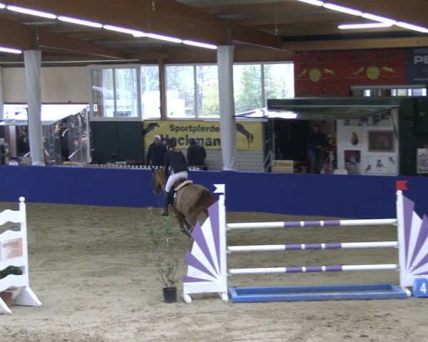 Reitturnier Isterberg 2019