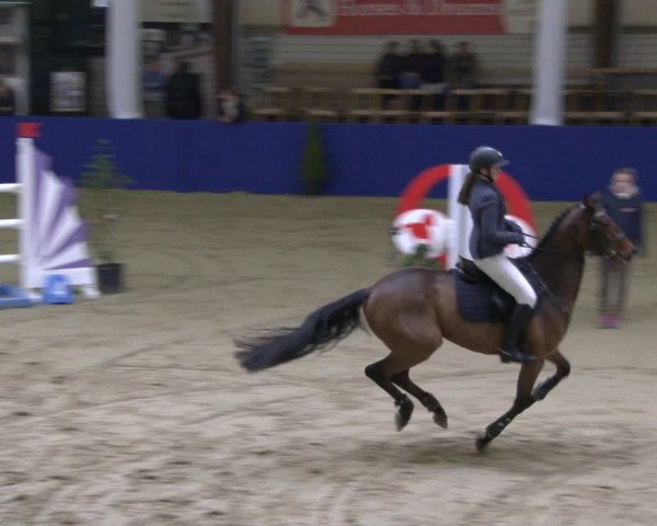 Reitturnier Isterberg 2019
