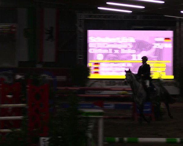 Reitturnier Pausin 2019