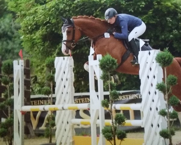 jumper Ludowika 10 (Westphalian, 2011, from Ludwigs As)