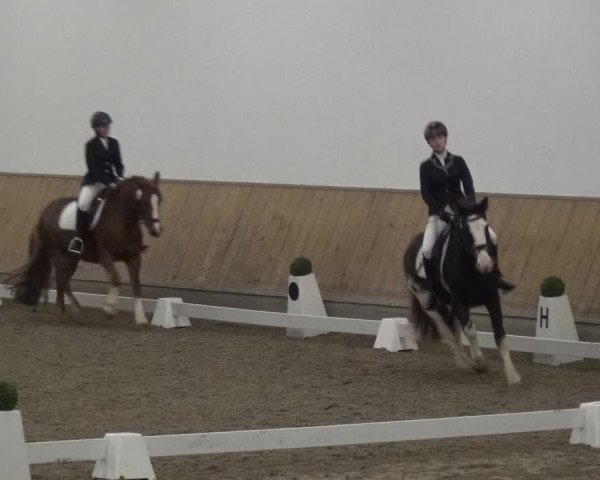 Reitturnier Freudenberg 2019