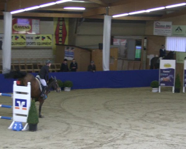 Reitturnier Isterberg 2019