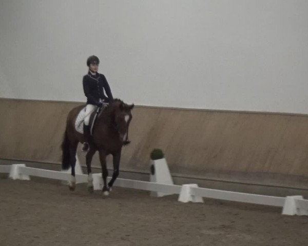 Reitturnier Freudenberg 2019