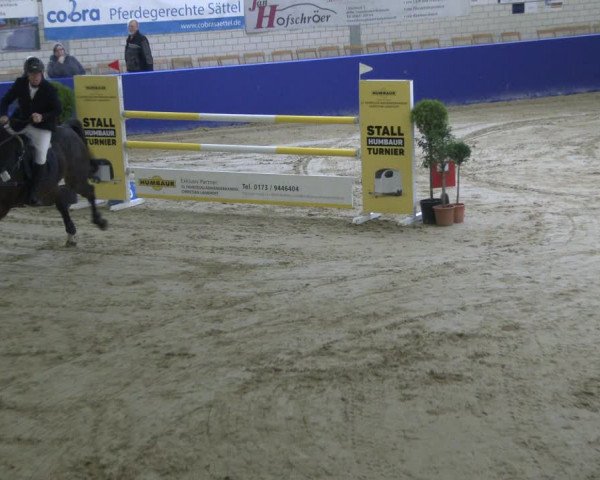 Reitturnier Isterberg 2019