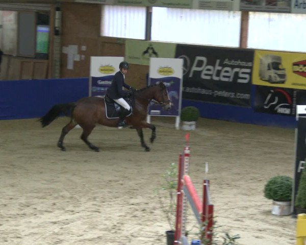 Reitturnier Isterberg 2019