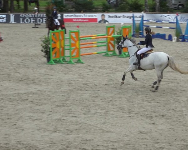 Reitturnier Westergellersen 2021