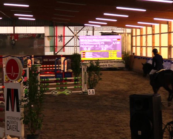 Reitturnier Pausin 2019