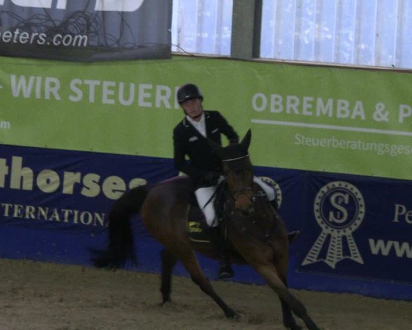 Reitturnier Isterberg 2019