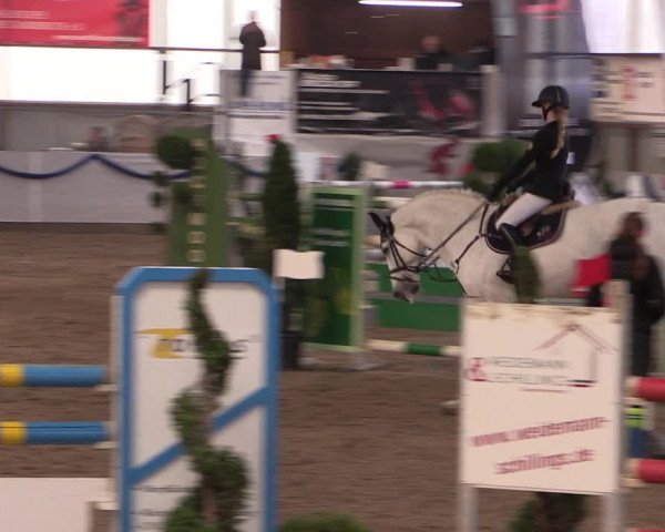 Reitturnier Rhede-Krommert 2019