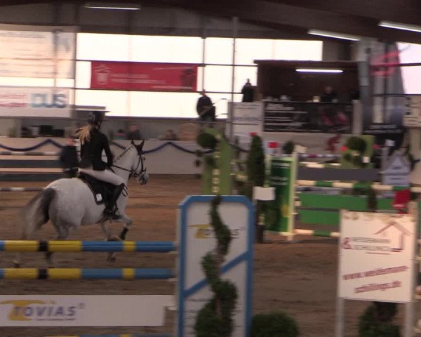 Reitturnier Rhede-Krommert 2019