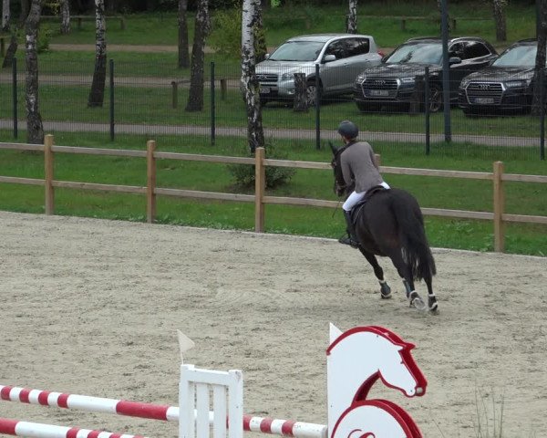 Reitturnier Westergellersen 2021