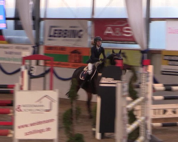 Reitturnier Rhede-Krommert 2019