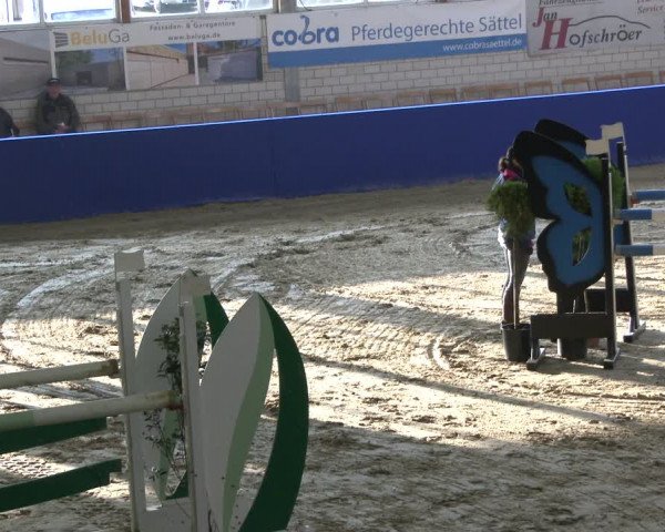 Reitturnier Isterberg 2019