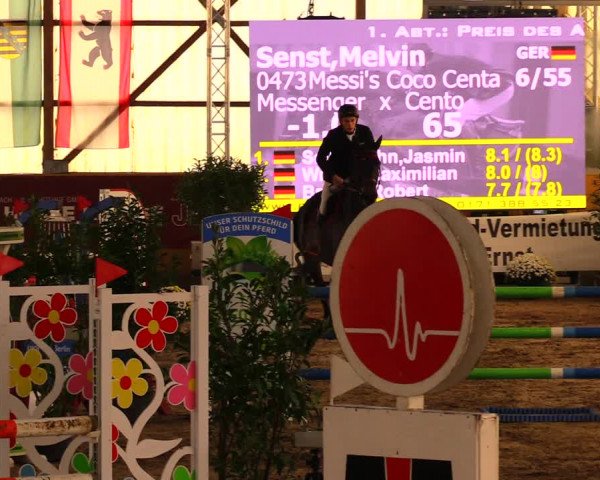 Reitturnier Pausin 2019