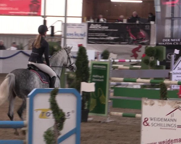 Reitturnier Rhede-Krommert 2019