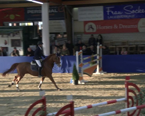 Reitturnier Isterberg 2019