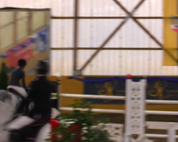 Reitturnier Pausin 2019