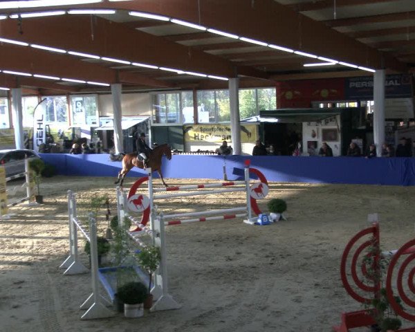 Reitturnier Isterberg 2019