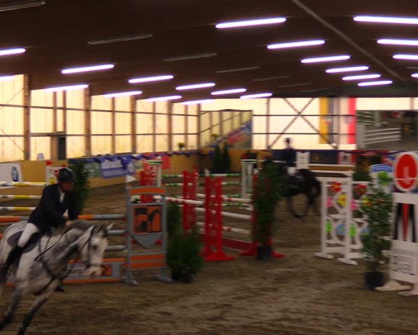 Reitturnier Pausin 2019