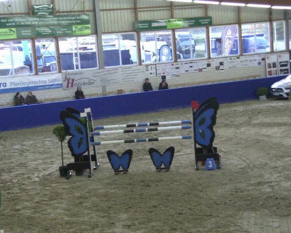 Reitturnier Isterberg 2019