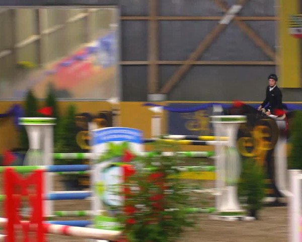 Reitturnier Pausin 2019