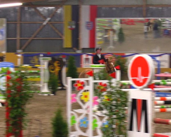 Reitturnier Pausin 2019