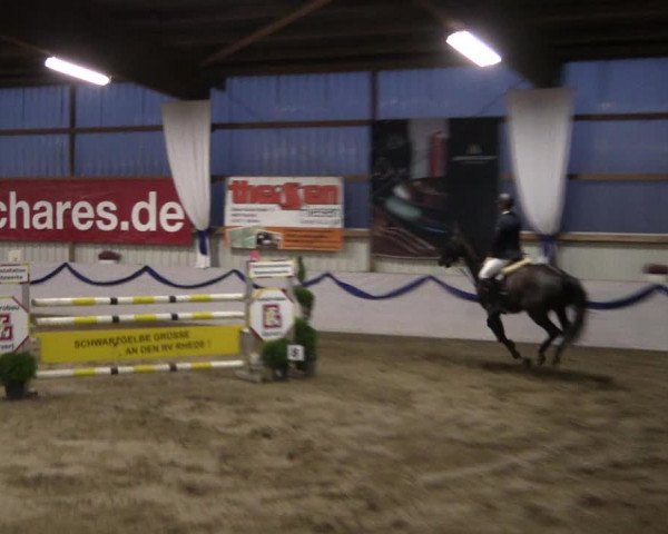 Reitturnier Rhede-Krommert 2019
