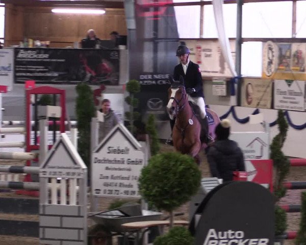 Reitturnier Rhede-Krommert 2019