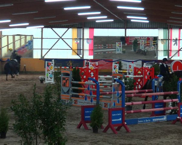Reitturnier Pausin 2019