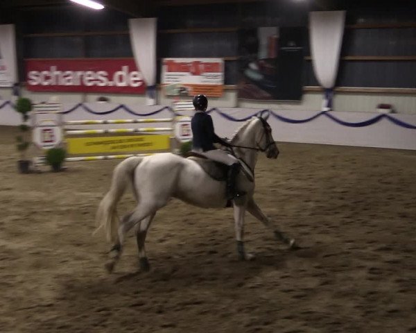 Reitturnier Rhede-Krommert 2019
