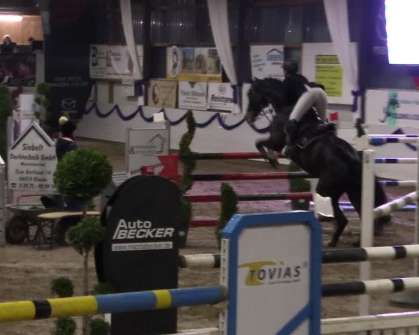 Reitturnier Rhede-Krommert 2019