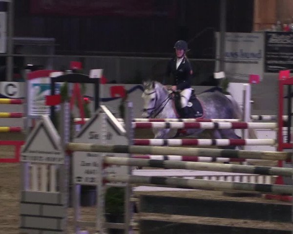 Reitturnier Rhede-Krommert 2019