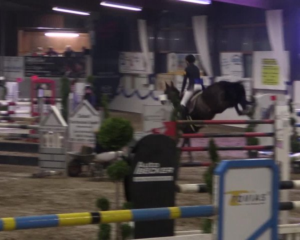 Reitturnier Rhede-Krommert 2019