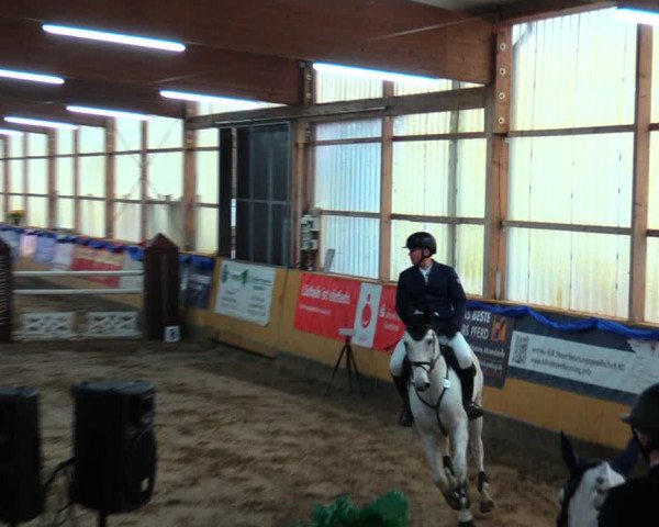 Reitturnier Pausin 2019