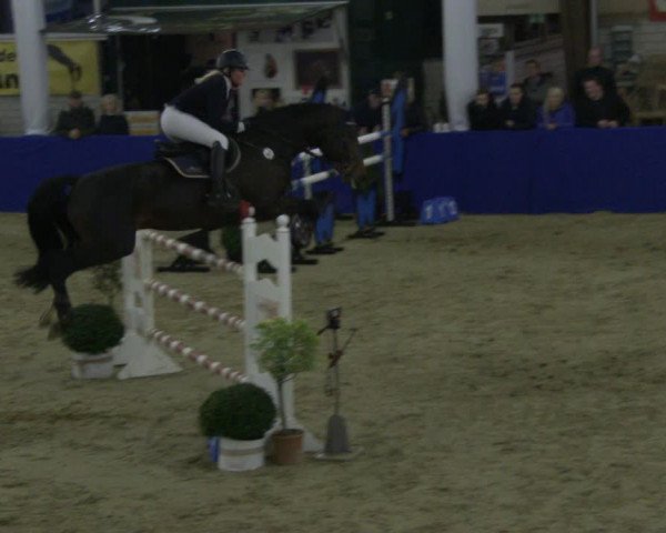 Reitturnier Isterberg 2019
