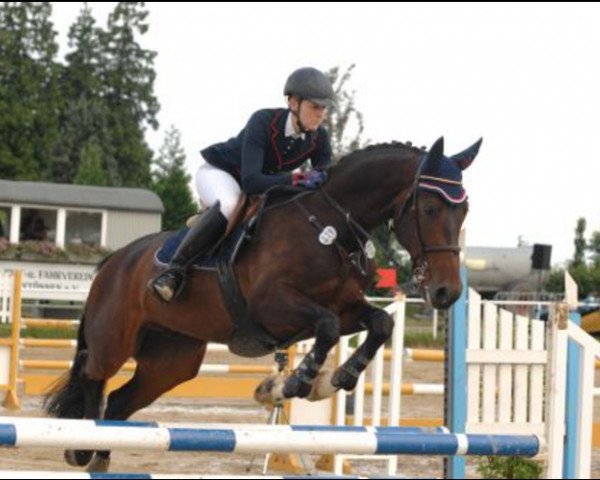 jumper Präsent (German Sport Horse, 2009, from Piano II)