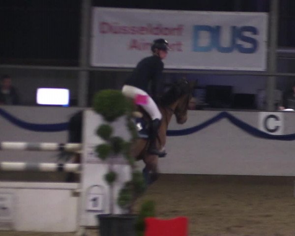 Reitturnier Rhede-Krommert 2019