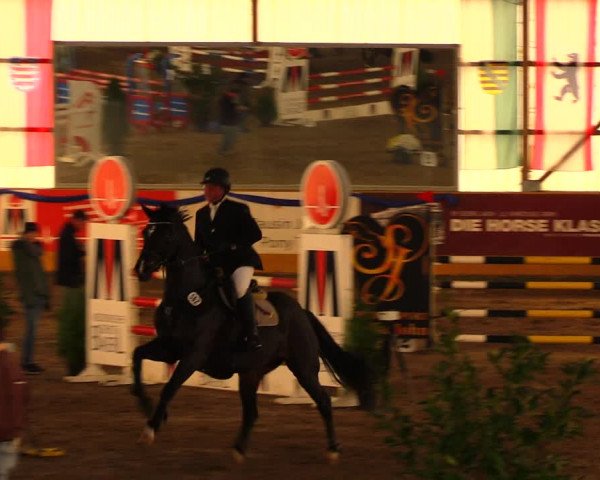Reitturnier Pausin 2019