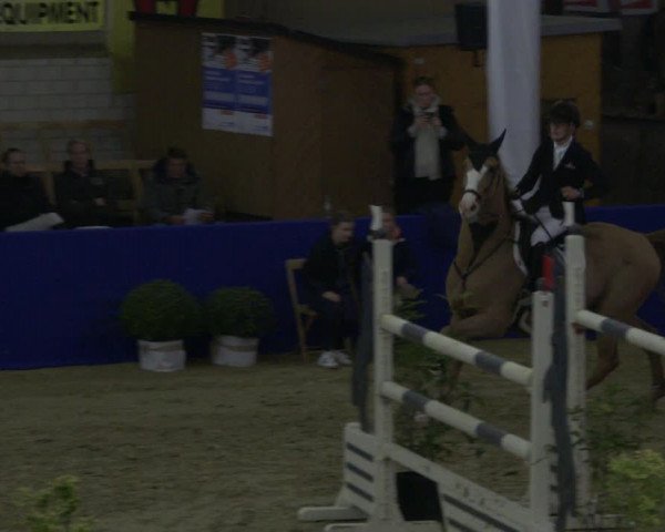 Reitturnier Isterberg 2019