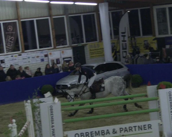 Reitturnier Isterberg 2019