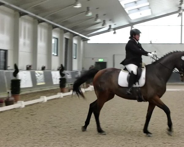 Reitturnier Mönchengladbach-Abtshof 2019