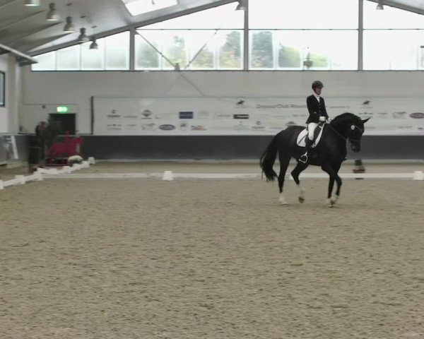 Reitturnier Mönchengladbach-Abtshof 2019