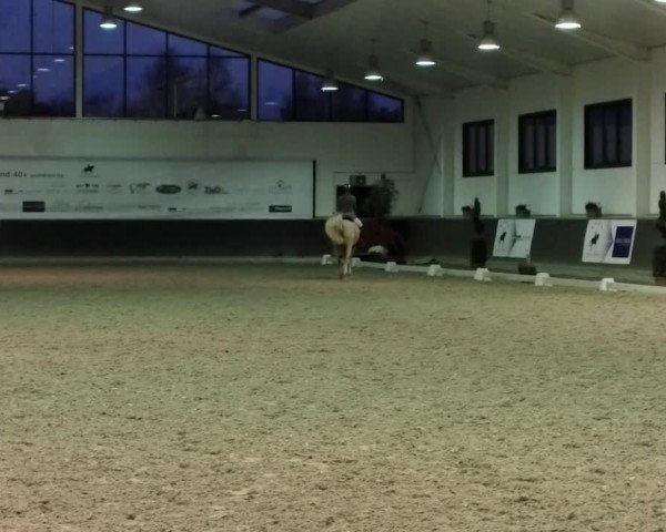 Reitturnier Mönchengladbach-Abtshof 2019