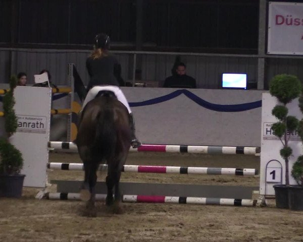 Reitturnier Rhede-Krommert 2019