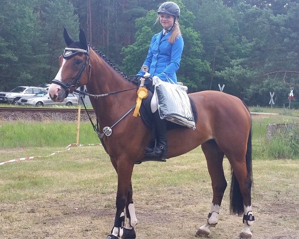Springpferd Lousianna 7 (Hannoveraner, 2008, von Hh Linton)