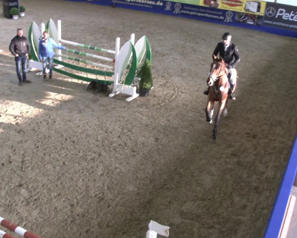 Reitturnier Isterberg 2019