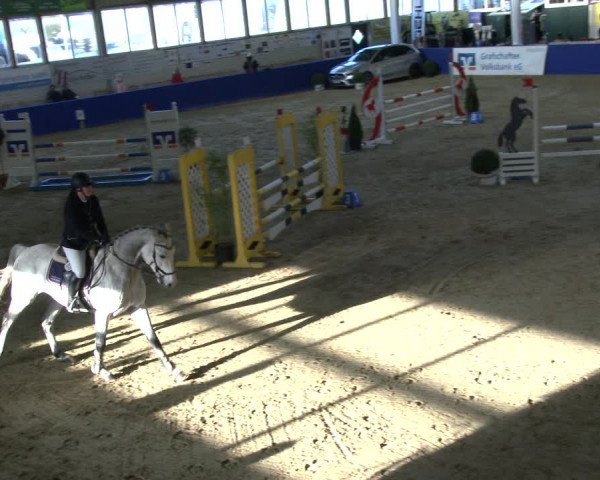 Reitturnier Isterberg 2019